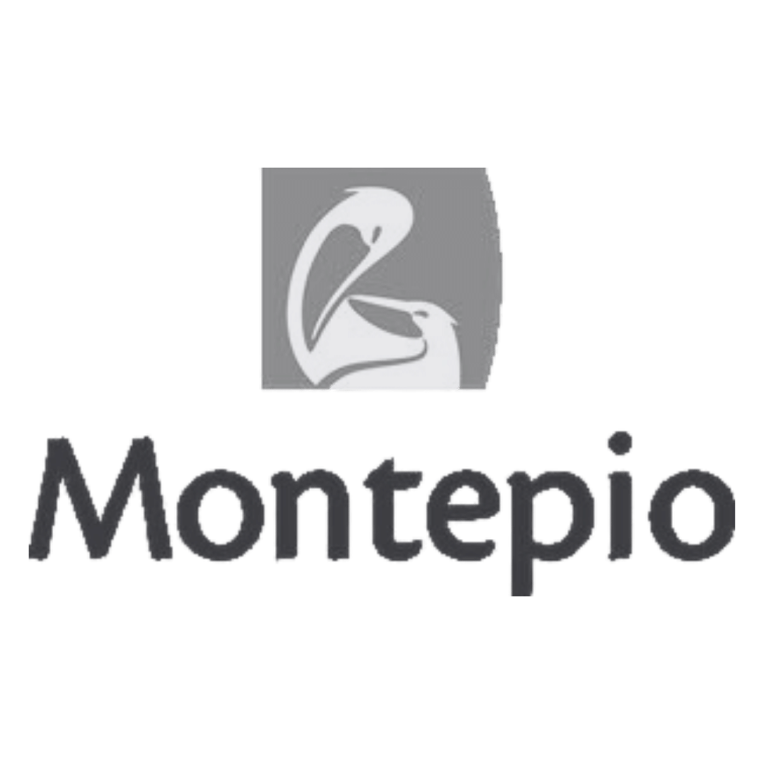 Montepio Logo